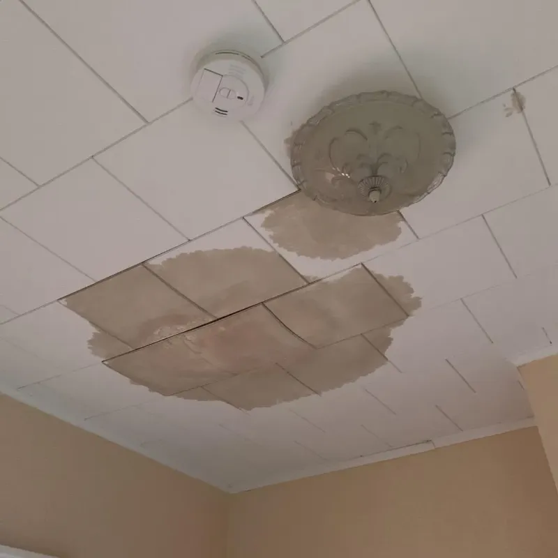 Ceiling Water Damage Repair in Harnett County, NC