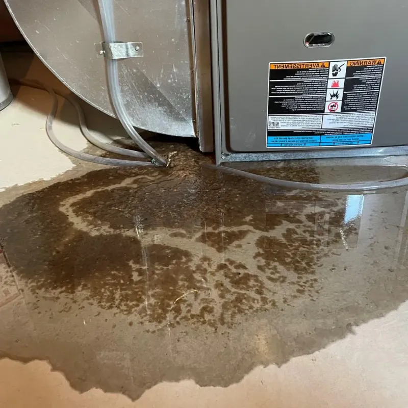 Pipe Burst and Leak Restoration in Harnett County, NC